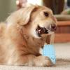 Cactus Chew Toy for Dogs view 2