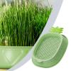 Hydroponic Cat Grass Planter view 3