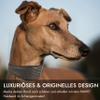 FAVPET Luxury Genuine Leather Greyhound Collar with QR Code Tag, Wide Soft Leather, Gray, M view 2
