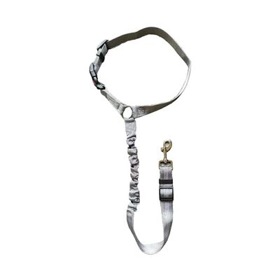 BEALIFE Pet Seat Belt, Durable and Easy to Attach, Dark Gray, 1