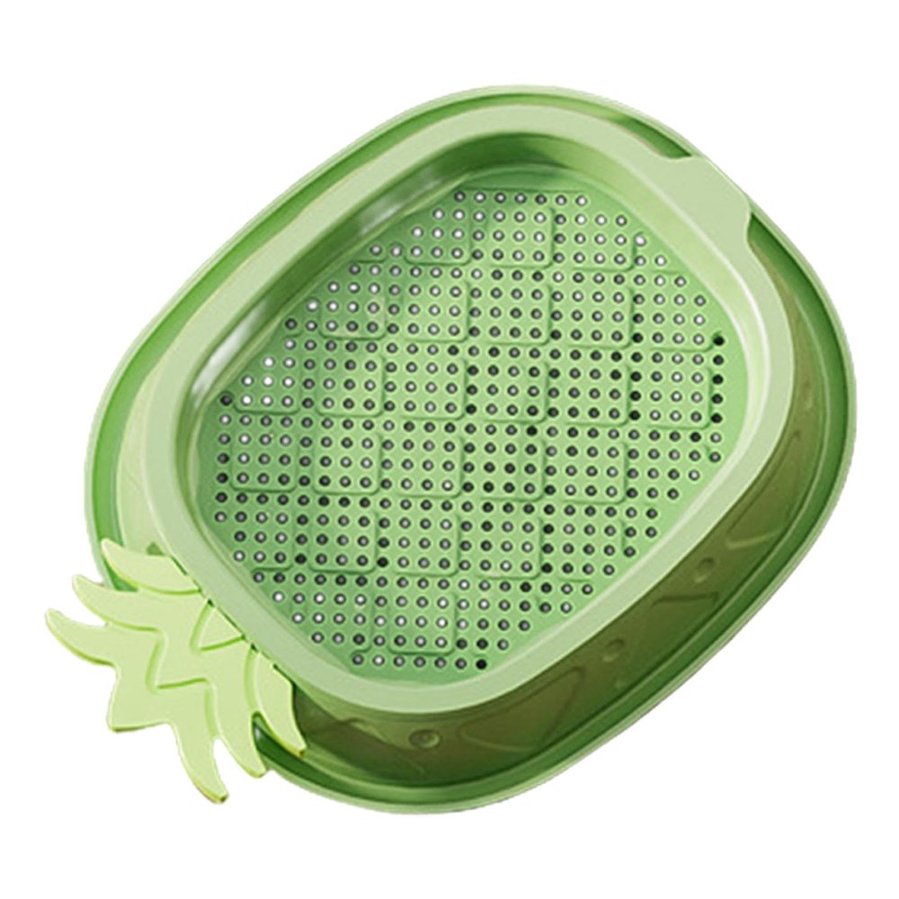 Yianyal Soilless Cat Grass Growing Kit, Pineapple Design