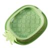 Yianyal Soilless Cat Grass Growing Kit, Pineapple Design view 1
