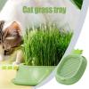 Yianyal Soilless Cat Grass Growing Kit, Pineapple Design view 2