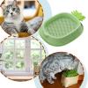 Yianyal Soilless Cat Grass Growing Kit, Pineapple Design view 4