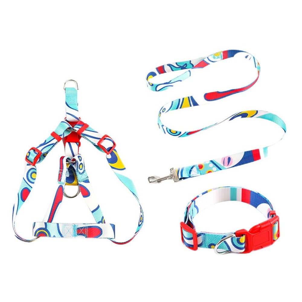 budiniao 3-Piece Pet Collar and Leash Set
