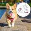 budiniao 3-Piece Pet Collar and Leash Set view 3
