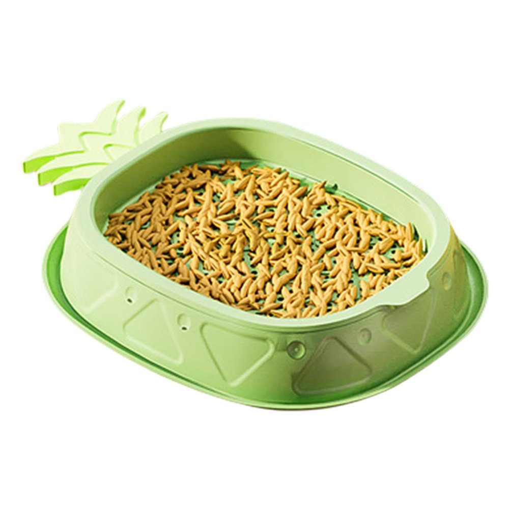Janurium Cat Grass Planter for Indoor Cats