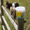 Boomy Horse Treats - Sugar-Free Carrot Ring - 1 kg (Regular, Garlic) view 3