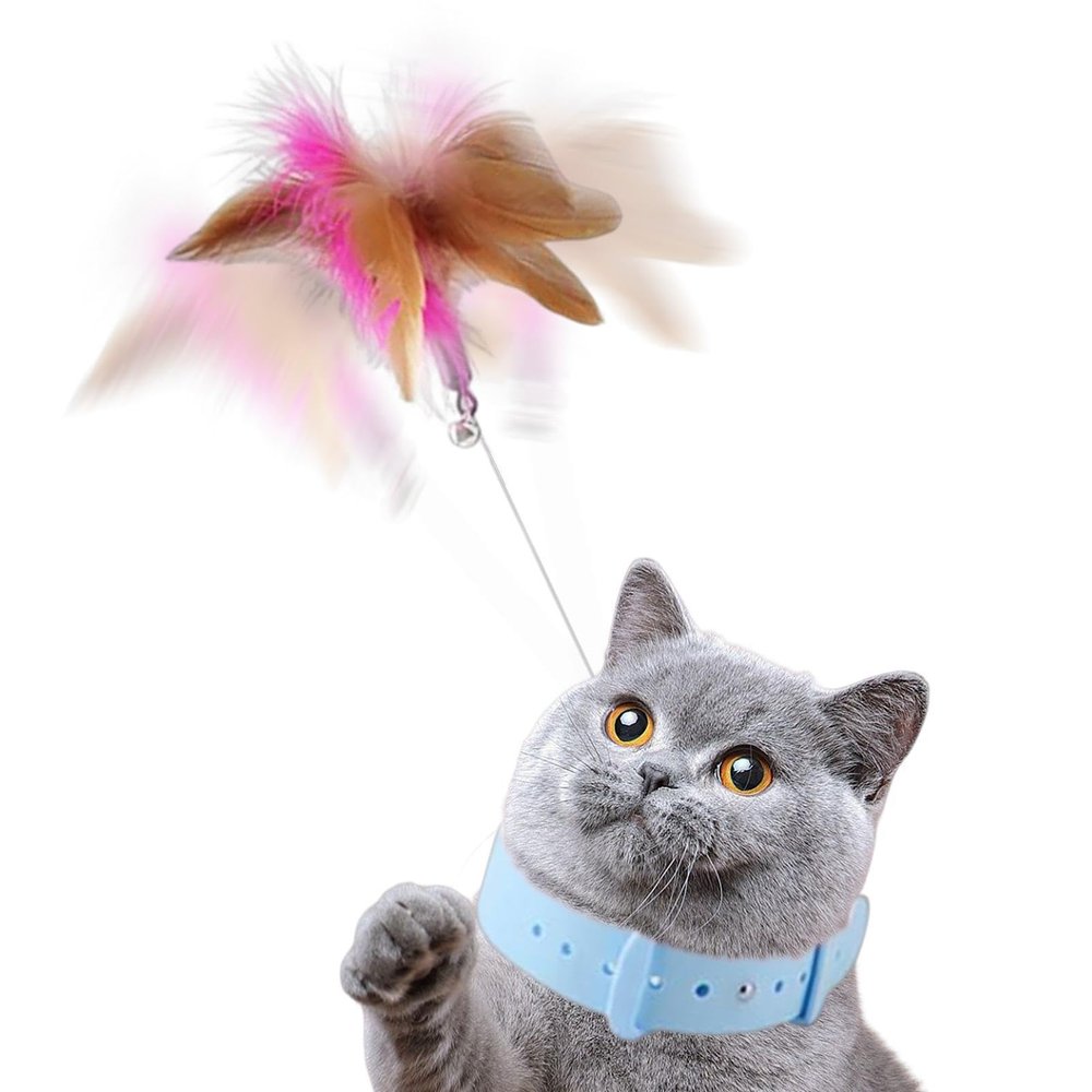 Cat Feather Collar Toy