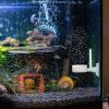 Nano CO2 Diffuser Glass Reactor view 3