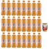 Italian Gourmet T alla Pesca Peach Iced Tea PET 24 x 0.5 L Still view 1