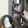 Ueiwffzo Self-Adhesive Cat Scratching Mat, Khaki, 30 x 30 cm view 3