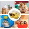 Dwarf Hamster Cage – Transparent House Cage view 4