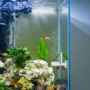 Nano CO2 Diffuser Glass Reactor view 2