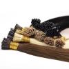Remy Human Hair Clip-In Extensions, Black-to-Brown with Blonde, Gray Raw Virgin i-Tip Russian Nano Hair view 2