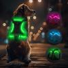 Light Up Dog Harness - Rechargeable LED view 1