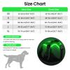 Light Up Dog Harness - Rechargeable LED view 3