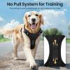 Light Up Dog Harness - Rechargeable LED view 4
