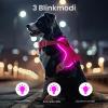 Light-Up Rechargeable Dog Harness view 2