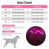 Light-Up Rechargeable Dog Harness view 3