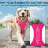 Light-Up Rechargeable Dog Harness view 4