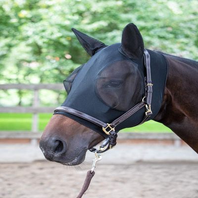 Black Lycra SkinFit Fly Mask with Ear Protection for Horses