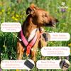 Reflective Y-Shaped No-Pull Dog Harness for Sighthounds, Sky Blue, XS view 3
