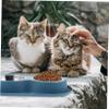 COLLBATH Stainless Steel and Plastic Double Bowl for Cats and Dogs view 4