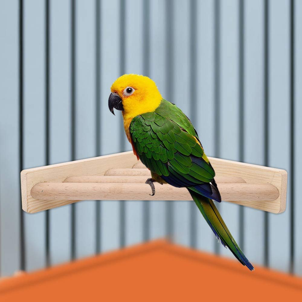 Qcwwy Bird Toy, Wooden Platform Perch, Fan-Shaped Corner Ladder