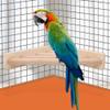 Qcwwy Bird Toy, Wooden Platform Perch, Fan-Shaped Corner Ladder view 3