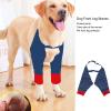Fabater Dog Recovery Suit view 2