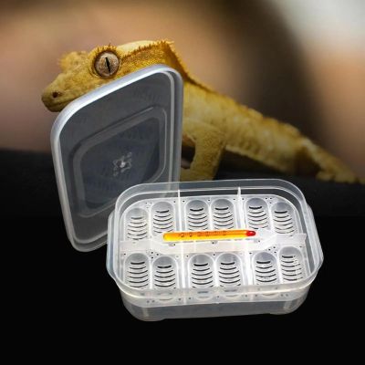 Reptile Egg Incubator Breeding Box for Turtles, Geckos and Other Reptiles