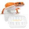 Reptile Egg Incubator Breeding Box for Turtles, Geckos and Other Reptiles view 3
