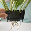 MOLERRI 2-Piece Open Face Plant Holder view 3