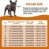 Pink Rhinestone Cuban Link Dog Collar, 10 in view 4