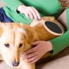 2-in-1 Dog Brush with Pins and Bristles view 3