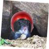 BCOATH Iron Pet Toy for Small Animals view 2