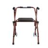 Wheelchair, Rollator and Cane for Older Adults, Four-Legged Cane Chair view 1