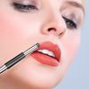 Reusable Portable Silicone Lip Brush view 2