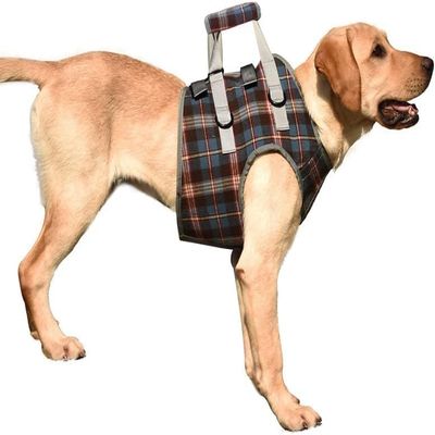 Rear-Leg Support Harness for Dogs, Front Carrying Aid, Soft Support Sling for Injured or Disabled Small, Medium, and Large Dogs (Medium, Chest Blue)