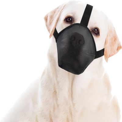 LoKori Dog Muzzle, Adjustable Soft Mesh Muzzle for Dogs (M, Black)