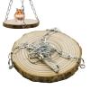 Hamster Swing | Hammock Swing with Wooden Ladder view 1