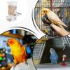 Automatic Bird Feeder - Transparent Acrylic Parakeet Feeder view 4