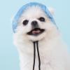Dog Sun Hat with Ear Holes view 3