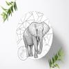 Safari Jungle Animals Edible Cake Image, Sugar Picture, Edible Photo Cake Topper 20 cm - 1281z view 2