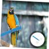 Sosoport Wooden Parrot Stand view 3
