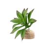 HAPINARY Lifelike Artificial Gladiolus Leaf for Reptile Terrariums view 1