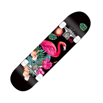 31" x 8" Complete Skateboard, 8-Ply Maple Double-Kick Skateboard Deck for Adults, Beginners, Teens, Boys and Girls, 29–31 Inches