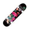 31" x 8" Complete Skateboard, 8-Ply Maple Double-Kick Skateboard Deck for Adults, Beginners, Teens, Boys and Girls, 29–31 Inches view 1