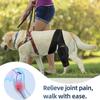 Dog Knee and Elbow Brace for Front or Hind Legs, ACL Injury Support, Size S view 4